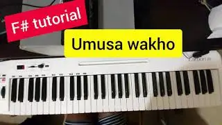 F# Song Tutorial: Umusa wakho siwubonile by Canaan nyathi