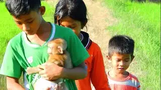 Good Morning Sun Free Tim for Cute Boys & Girls Carry on Aba to Visit The Field #LoverMonkeyHome