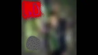 DxBxAxIxRxHxFx 2 WAY SPLIT WITH LUIGI DESTROYER ( GORENOISE / NOISE )
