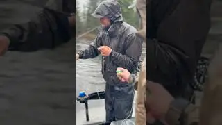 From gink to dunk dry fly is my all time favorite
