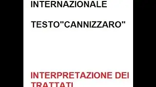 LEZIONI DI DIRITTO INTERNAZIONALE 17 di 19 
