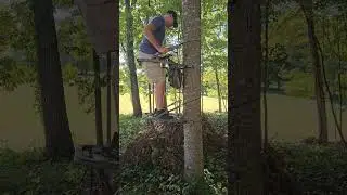 Tree Climber Summit Mini Viper