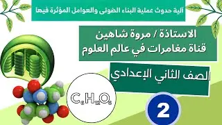 التفاعلات اللاضوئية في النبات - علوم ثانية اعدادي
