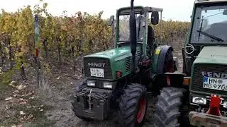 Reben h&auml;ckseln mit Fendt 260V