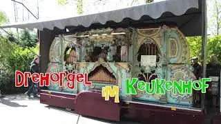 Drehorgel im Keukenhof