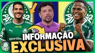 ANDRÉ HERNAN TRAZ INFORMAÇÕES EXCLUSIVAS E QUENTES DO VERDÃO | NOTÍCIAS DO PALMEIRAS DE HOJE!