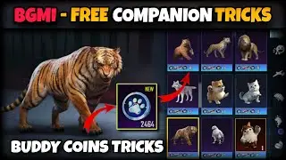 How To Get Free Companion In BGMI || BGMI Me Free Companion Kese Le 🫣🫣
