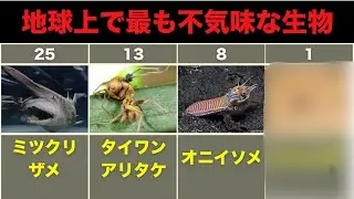 【生命の闇】地球上で最も不気味な生物25選｜その異形の裏に隠された「残酷すぎる生存戦略」とは？