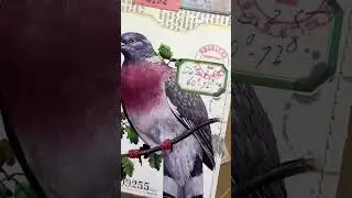 Bird themed junk journal pockets