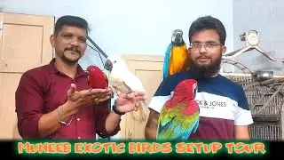 Muneeb Exotic Birds Setup Tour | Urdu / Hindi | PBI Official
