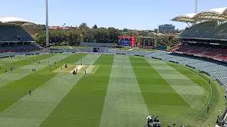 Adelaide Oval, A View of the Playing Ground