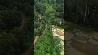 'We are poisoning ourselves': Ghana gold rush sparks environmental disaster