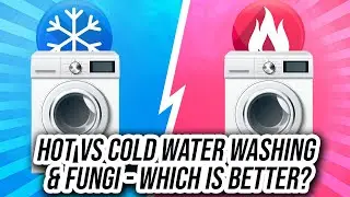 Hot vs Cold Water Washing & Fungi &ndash; Which is Better?
