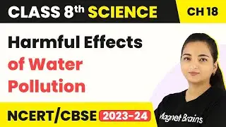 Class 8 Science Chapter 18 | Harmful Effects of Water Pollution