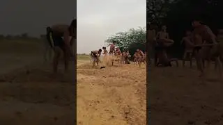 Akhada Me new mitti 😎 || Desi Akhada Workout 🔥 || #shorts #please subscribe doston 🙏