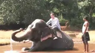 Goa Elephant shower