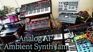 Elektron Analog Four, Moog Matriarch, Sequential OB-6, Pro 3, Prophet X, Octatrack, Virus Synth Jam