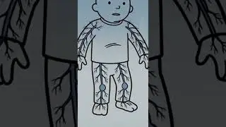 Why does cold weather make pain feel worse?#education #animation #pain #weather #cold #shorts