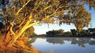 Fair Maid of Australia