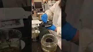 Microwave extract of Lavender Dust!