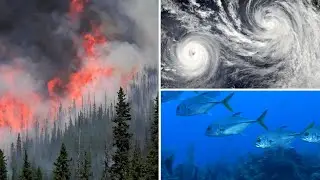 Our Climate & Our Fisheries: Join the Conversation