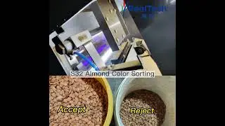 Mini Nuts Color Sorter Machine Almond Color Sorting S32