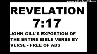 Revelation 7:17 by John Gill - Exposition of the Entire Bible Verse by Verse
