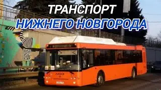 Транспорт Нижнего Новгорода 2024