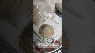 சாமை அரிசி|samai arisi|little millet recipes|health benefits of samai rice