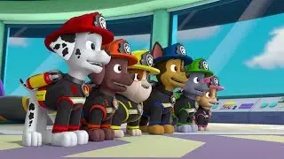 Paw Patrol : la Pat'Patrouille | Retrouvez-les au cin&eacute;ma ! 🐶 🐕 🐾 | NICKELODEON JUNIOR