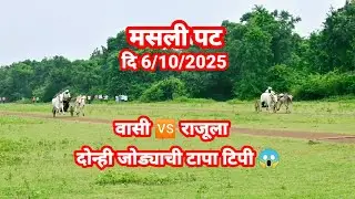 मसली शंकर पट आज दिनांक 6/10/2025 वासी 🆚 राजूला जोरदार मुकाबला 🔥 राजूला विनर 🏆#bailgadasharyat 