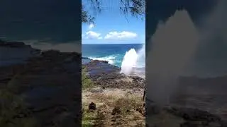 Sprouting Horn | Kauai | Hawaii