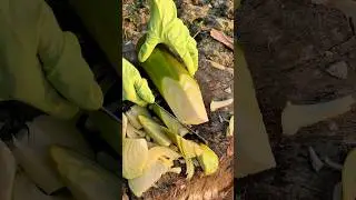 🔥🍌 Perfect angle, perfect cut &mdash; wow!&hellip;.🤯🔪#Shorts #banana #cuttingskills #skills #feed