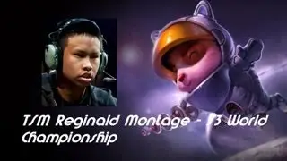 Reginald Tribute/Montage (Highlights, Lowlights & Astronaut Teemo) -  S3 World Championship
