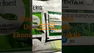 Macerio 52WP kemasan sachet untuk 1 Tangki Ekonomis dan Praktis