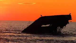 The Fall of Hope - Sunset Beach, Cape May NJ