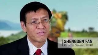 2011 Global Food Policy Report - Overview