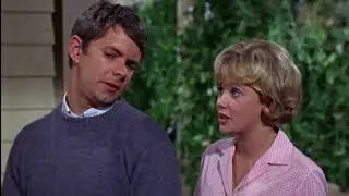 Web Polls Show: That Darn Cat! Movie Is a Forgotten Name for the Younger Generation