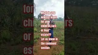 HOW TO START AN OIL PALM PLANTATION FARM 🌴 #palmcrest #palmoil #realestate #landbanking #profit #buy