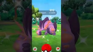 Found Shiny Evolved Pok&eacute;mon Which Can Turn Into Mega #shorts #shiny #ultragoo #evolved #wild #rare