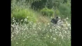 Your Conservation Connection