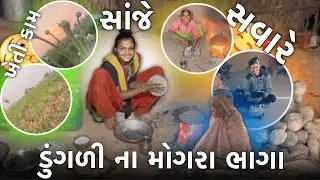 ડુંગળી ના મોગરા ભાગા | બહેન ને સાંજ ની રસોઈ બનાવી | Village Lifestyle Vlogs | 
