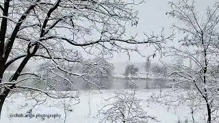 محميّة مستنقع عمّيق تحت الثلج ـ Ammiq Wetland Under Snow