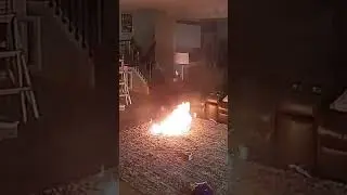 Chaotic moment dog starts a house fire while owners are away
