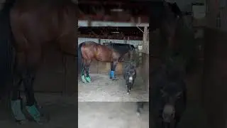 Мы все так делали, когда были маленькими 😂 (через margueritebischoff)