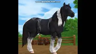 NEW FREE for EVERYONE the 10th ANNIVERSARY HORSE SNEAK PEAK star stable online