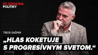 Gašpar: Opozícia uteká s každým zákonom do Bruselu, nech nás preveria a zavrú koho treba