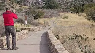 Road runner encounter -Bug Bend Natl Park  - Chips Mountain Trai