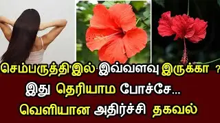 செம்பருத்தி பூ மருத்துவ நன்மைகள் தெரியுமா ? Hibiscus health benefits in tamil ! Health tips in tamil