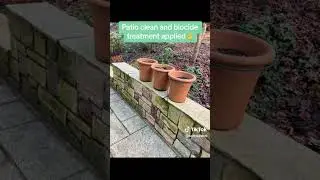 Sandstone patio clean, came up like new! #softwashing #steamcleaning #sandstone